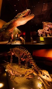 Dinosaurs Dawn to Extinction exhibit at ArtScience Museum