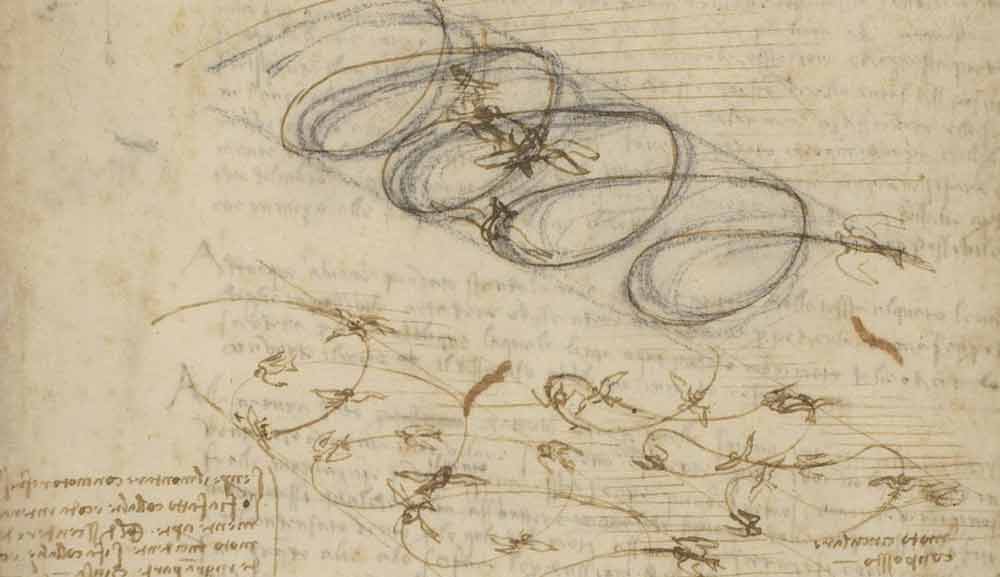 Studies on the Flight of Birds 1505 F.845 recto  Leonardo da Vinci