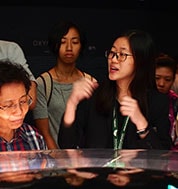 Scented Pebbles in ArtScience Museum Public Programmes