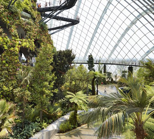 Conservatories in the Gardens by the Bay