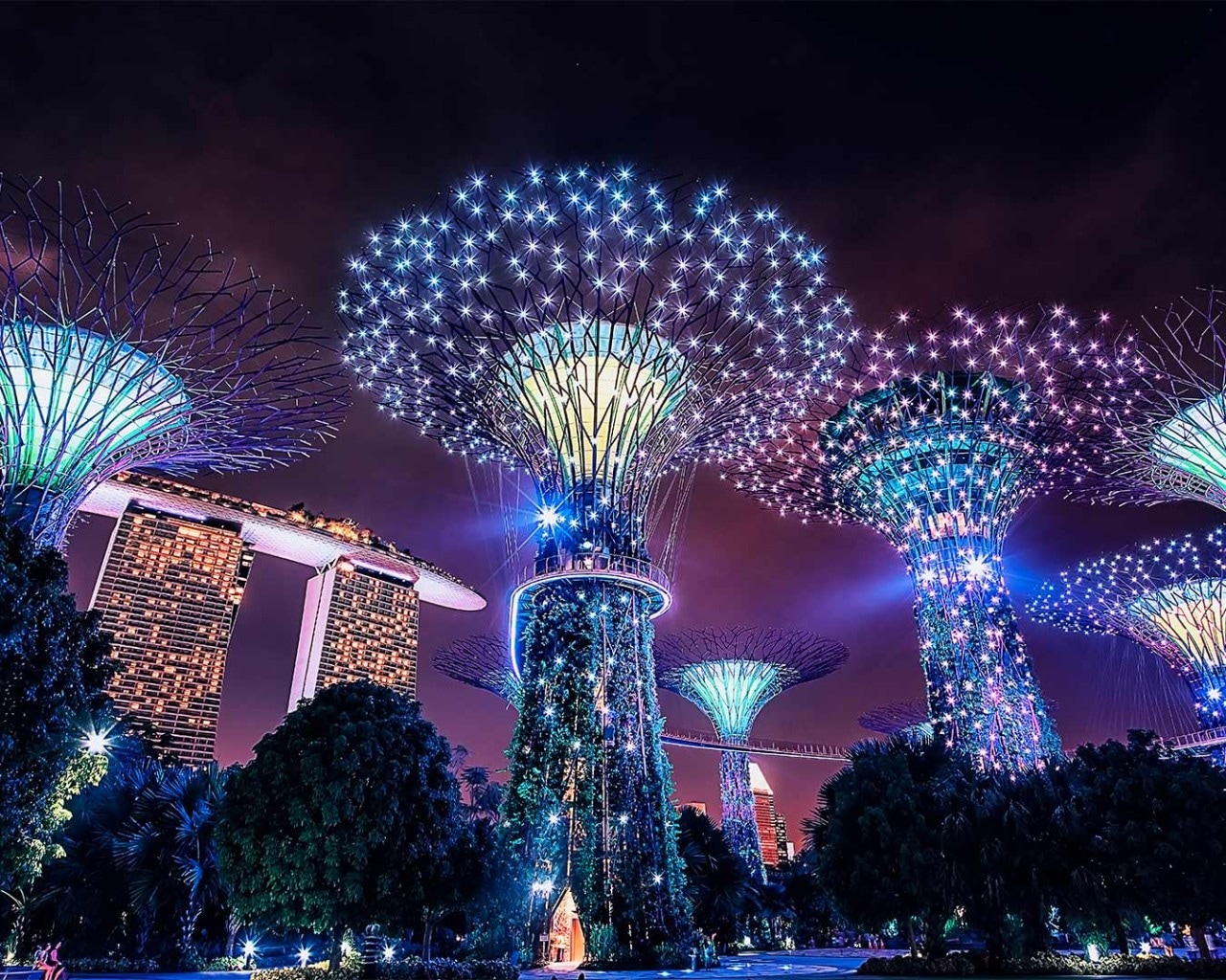 Supertrees at Gardens by the Bay, near Marina Bay Sands to visit during Singapore National Day