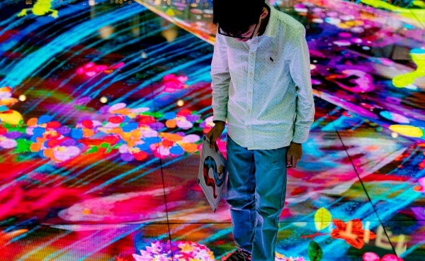 Drawn to the Wild Educational Workshop