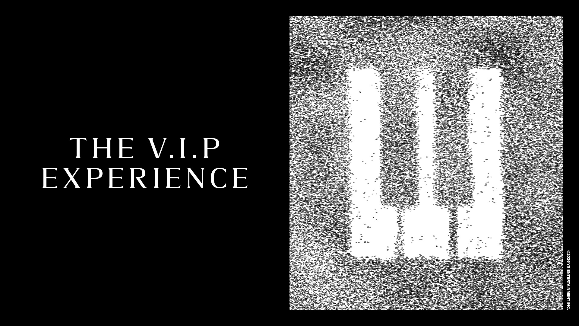 THE V.I.P EXPERIENCE