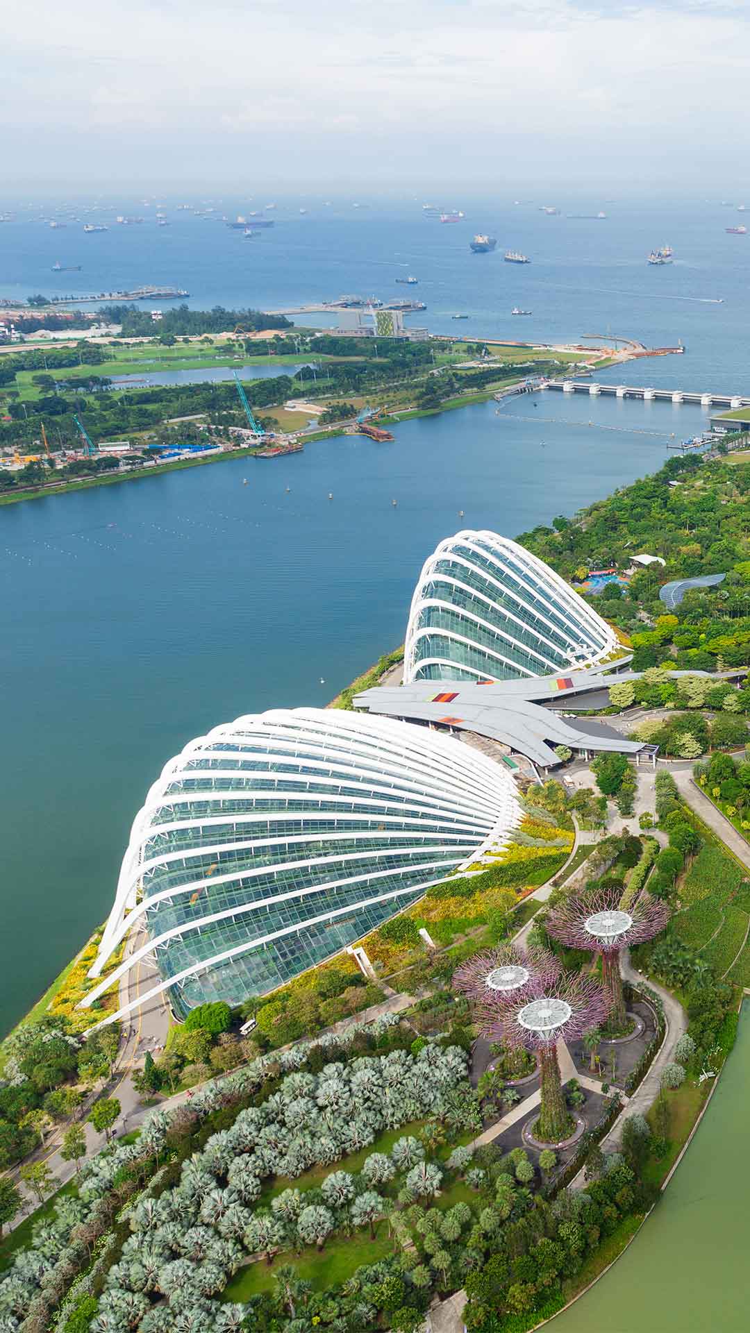 Top view of the domes at Gardens by the Bay in Singapore, near Marina Bay Sands