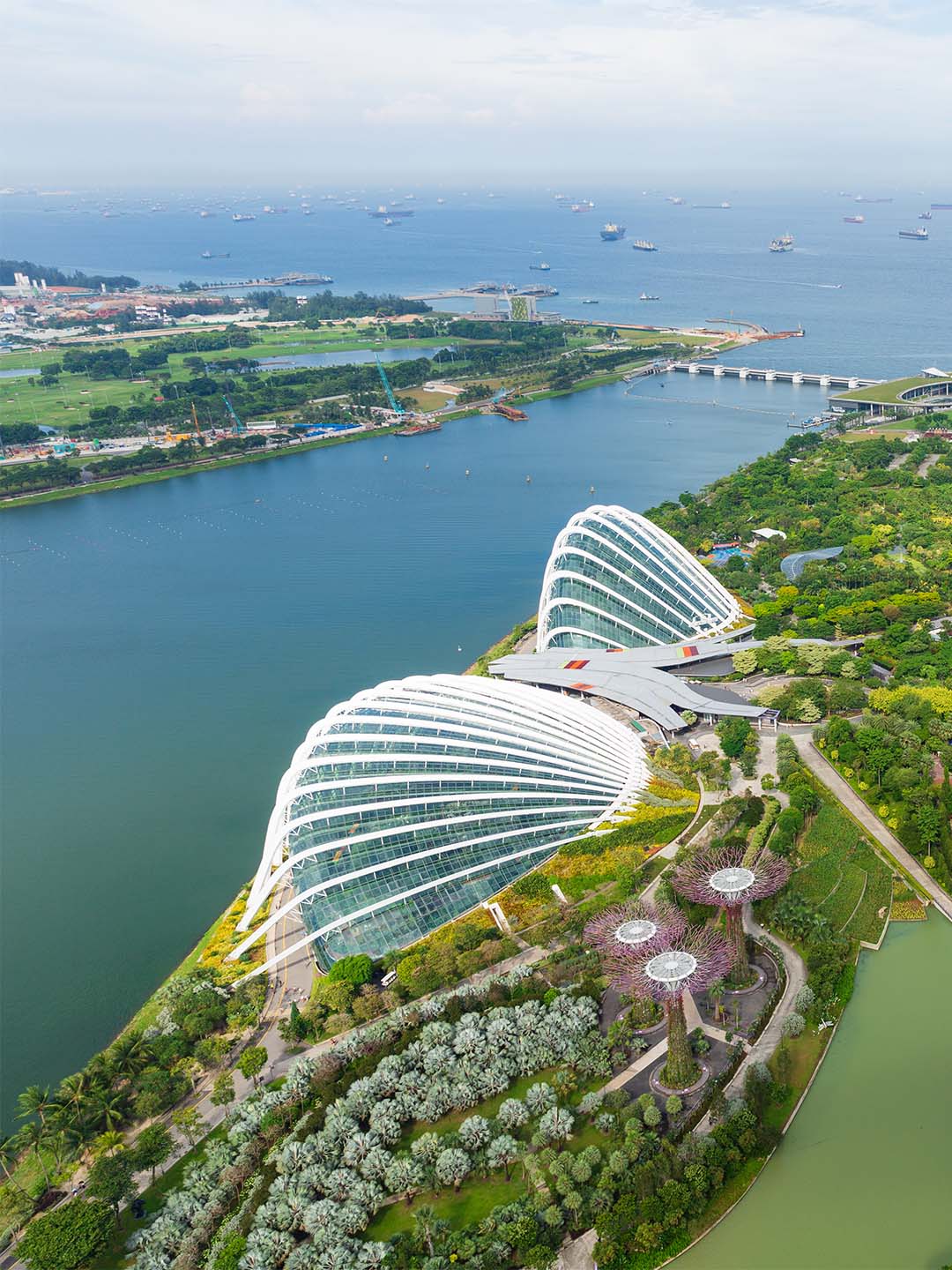 Guide To Gardens By The Bay Singapore 2025