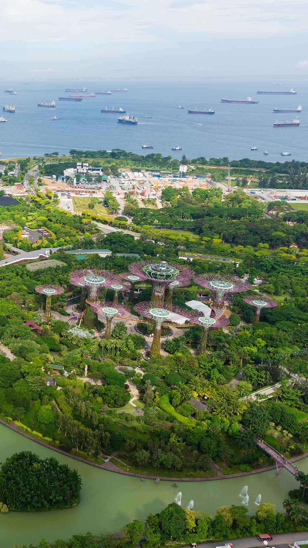Top view of the Supertrees at Gardens by the Bay in Singapore, from the rooftop of Marina Bay Sands