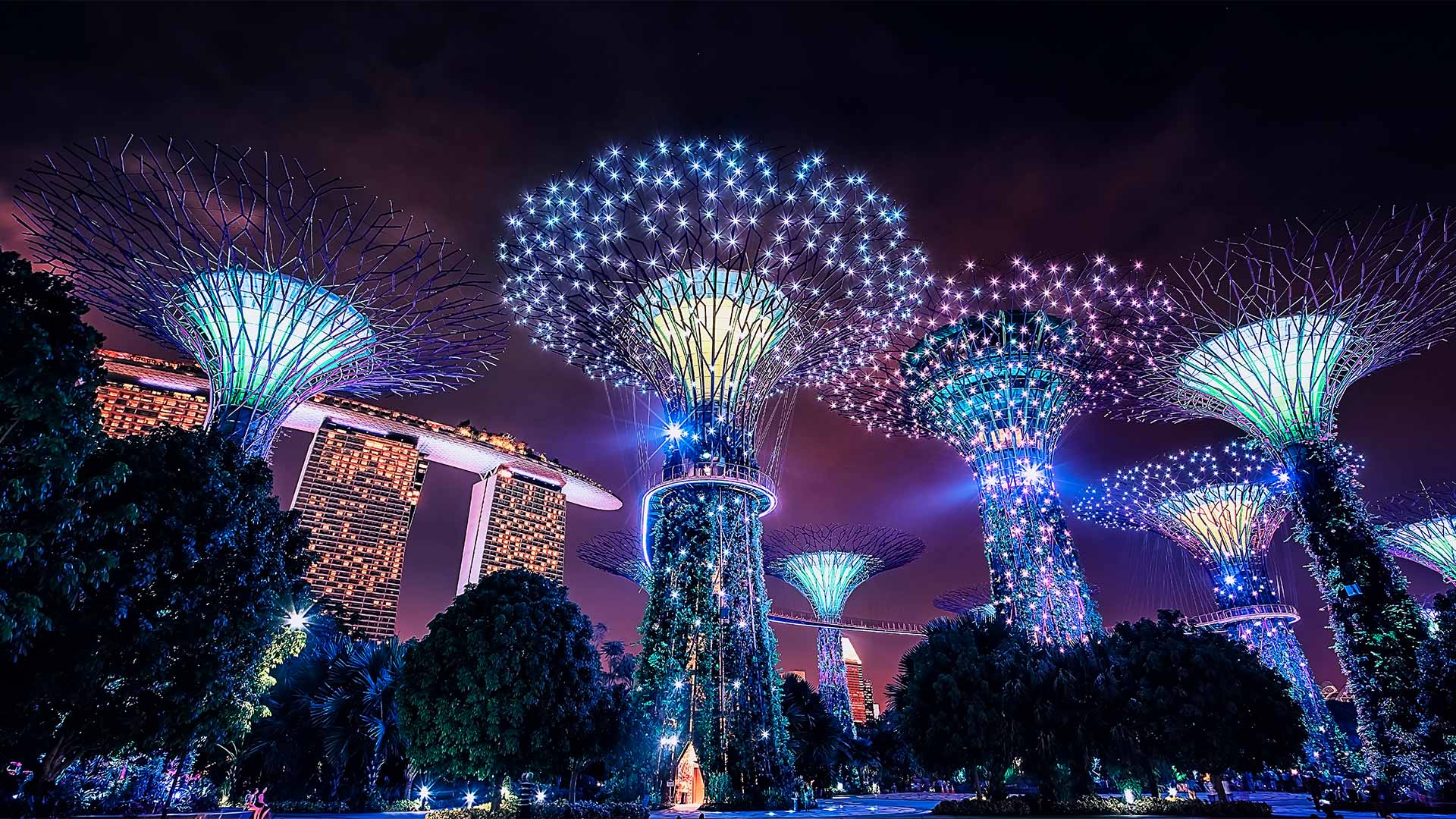 Lighted supertress at Gardens by the Bay, located in front of Marina Bay Sands, Singapore
