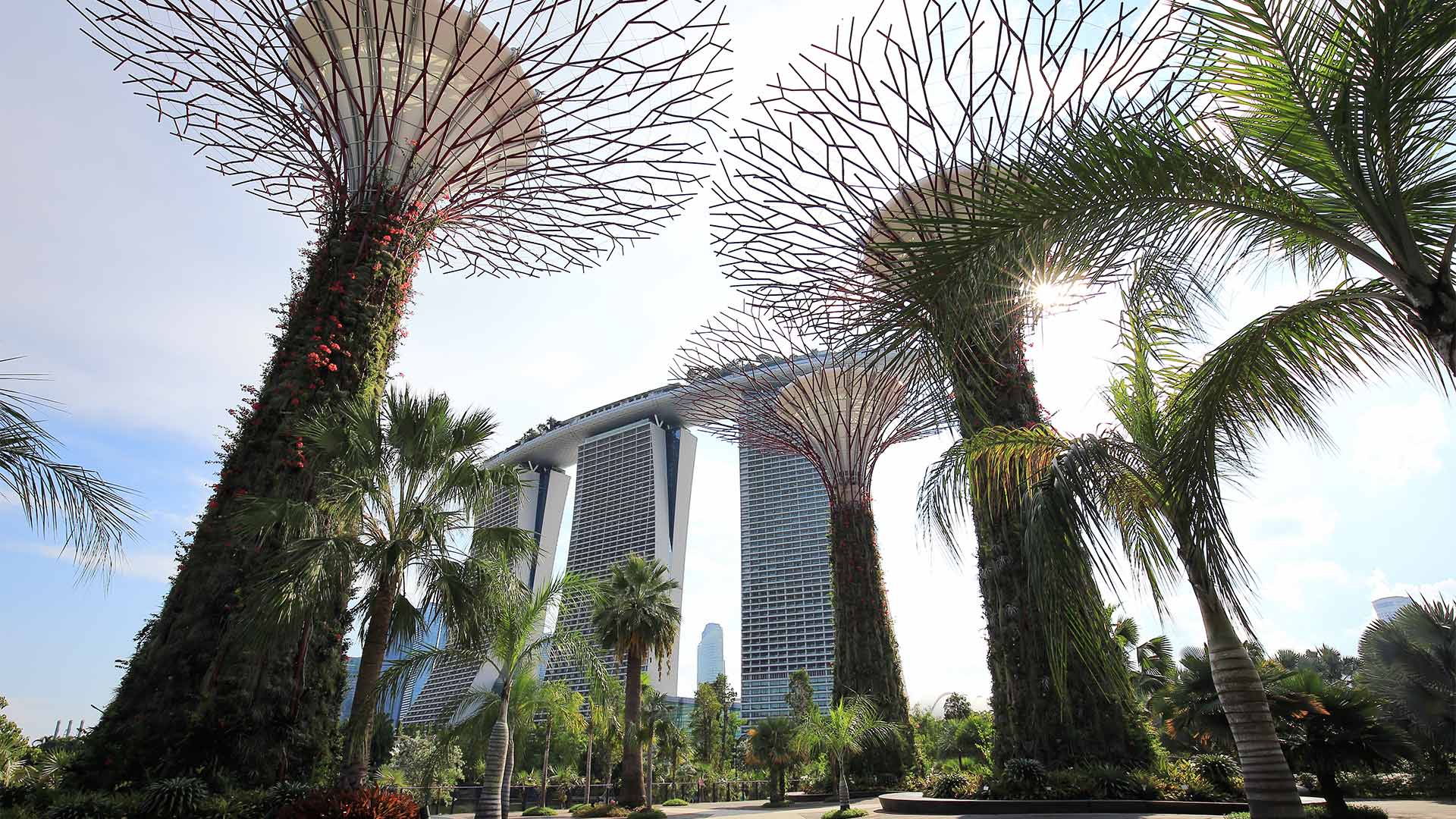 Spot ideal for outdoor activities in Singapore, near Marina Bay Sands