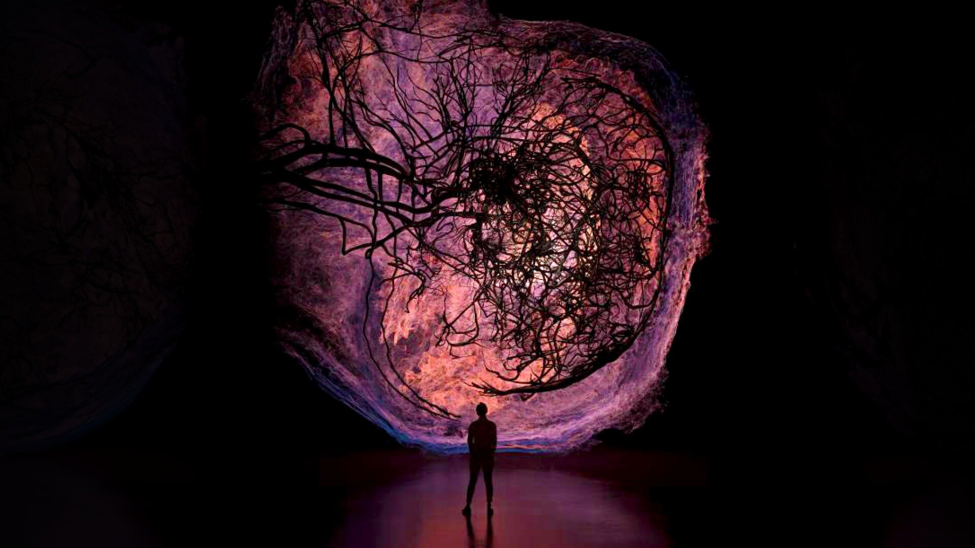 Gallery view of Flesh and Bones: The Art of Anatomy exhibition at ArtScience Museum, featuring anatomical displays