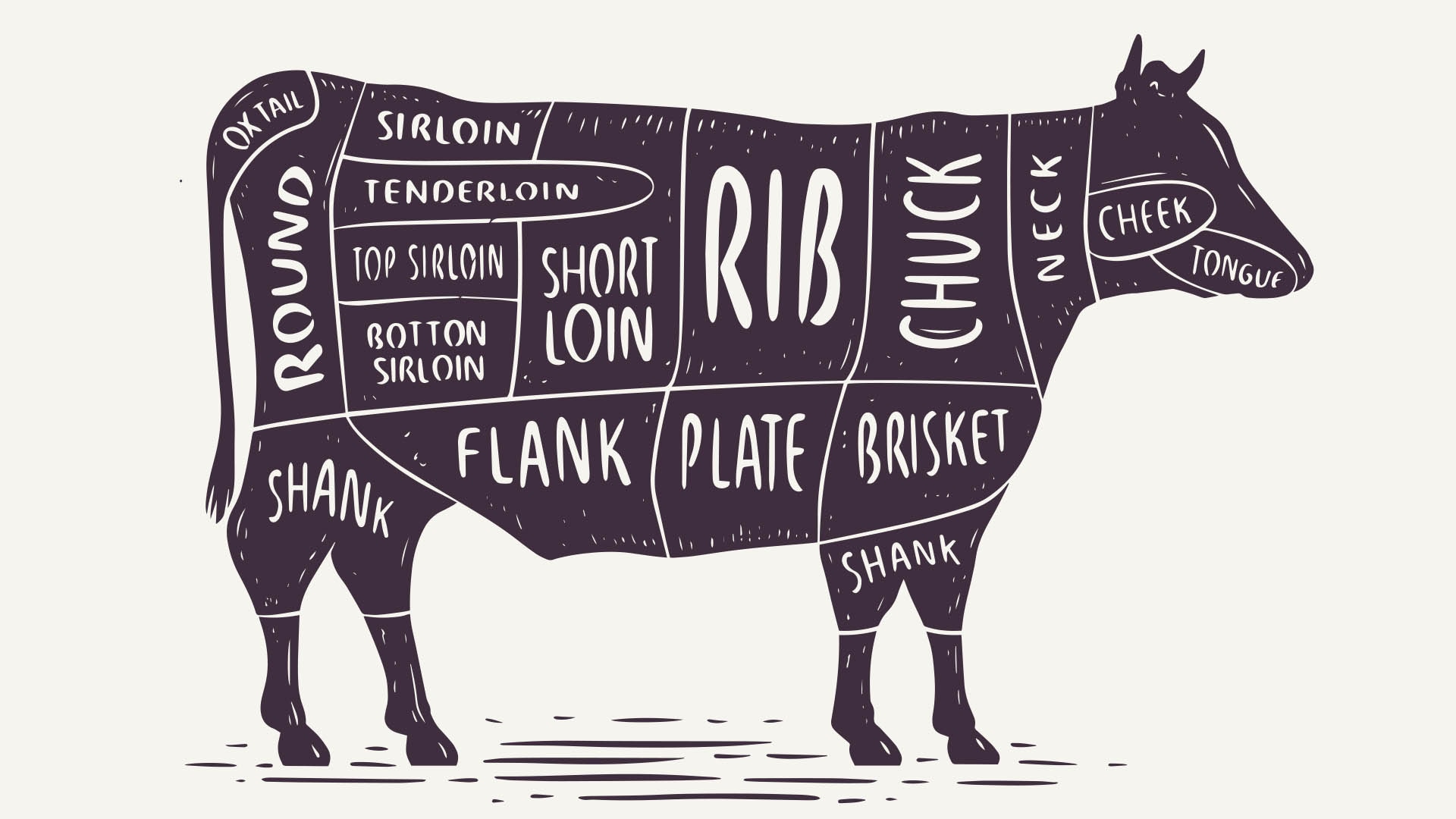Types of steak cuts from different parts of a cow 