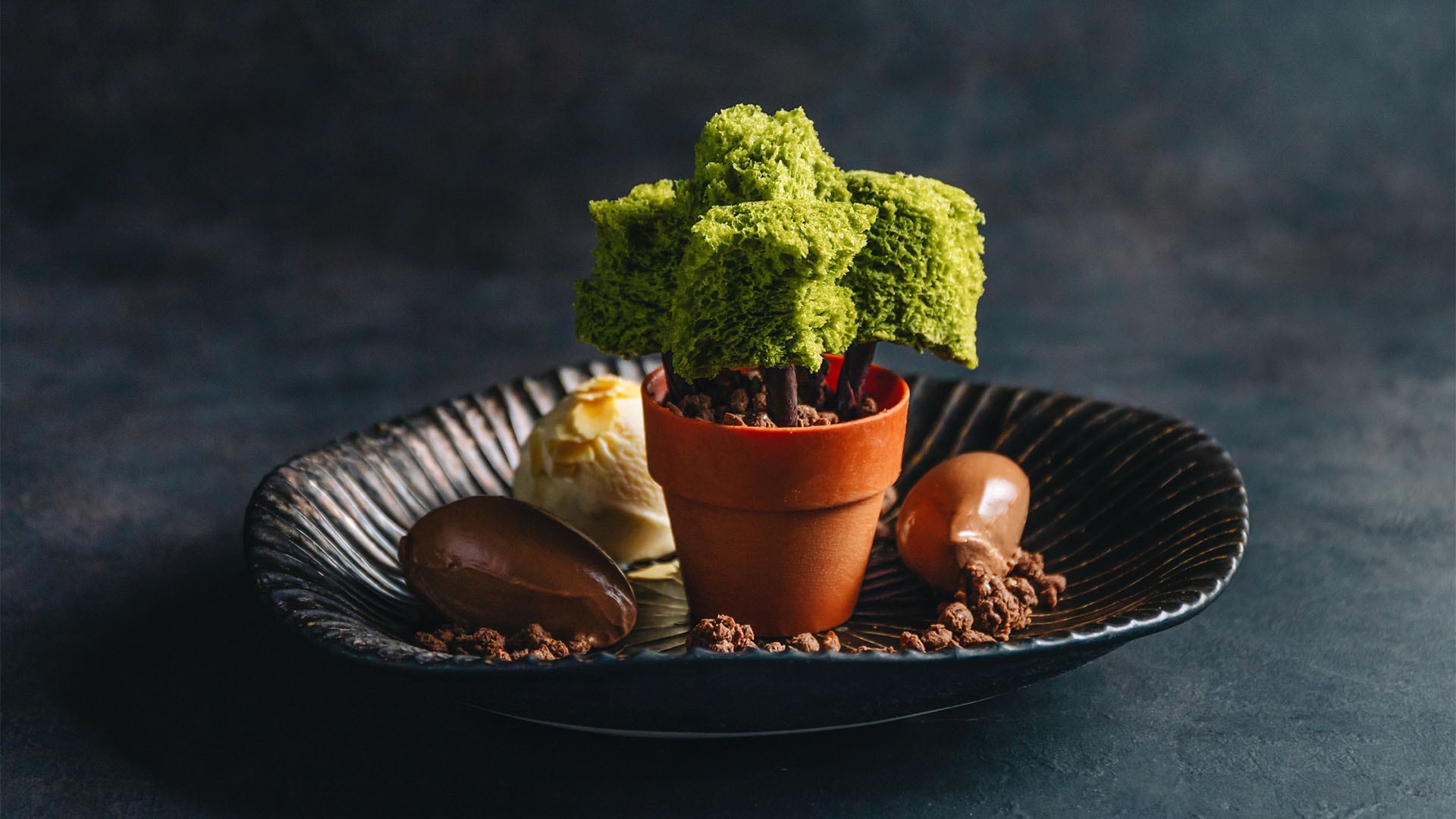 A dessert resembling Bonsai at KOMA, a sushi omakase restaurant in Singapore