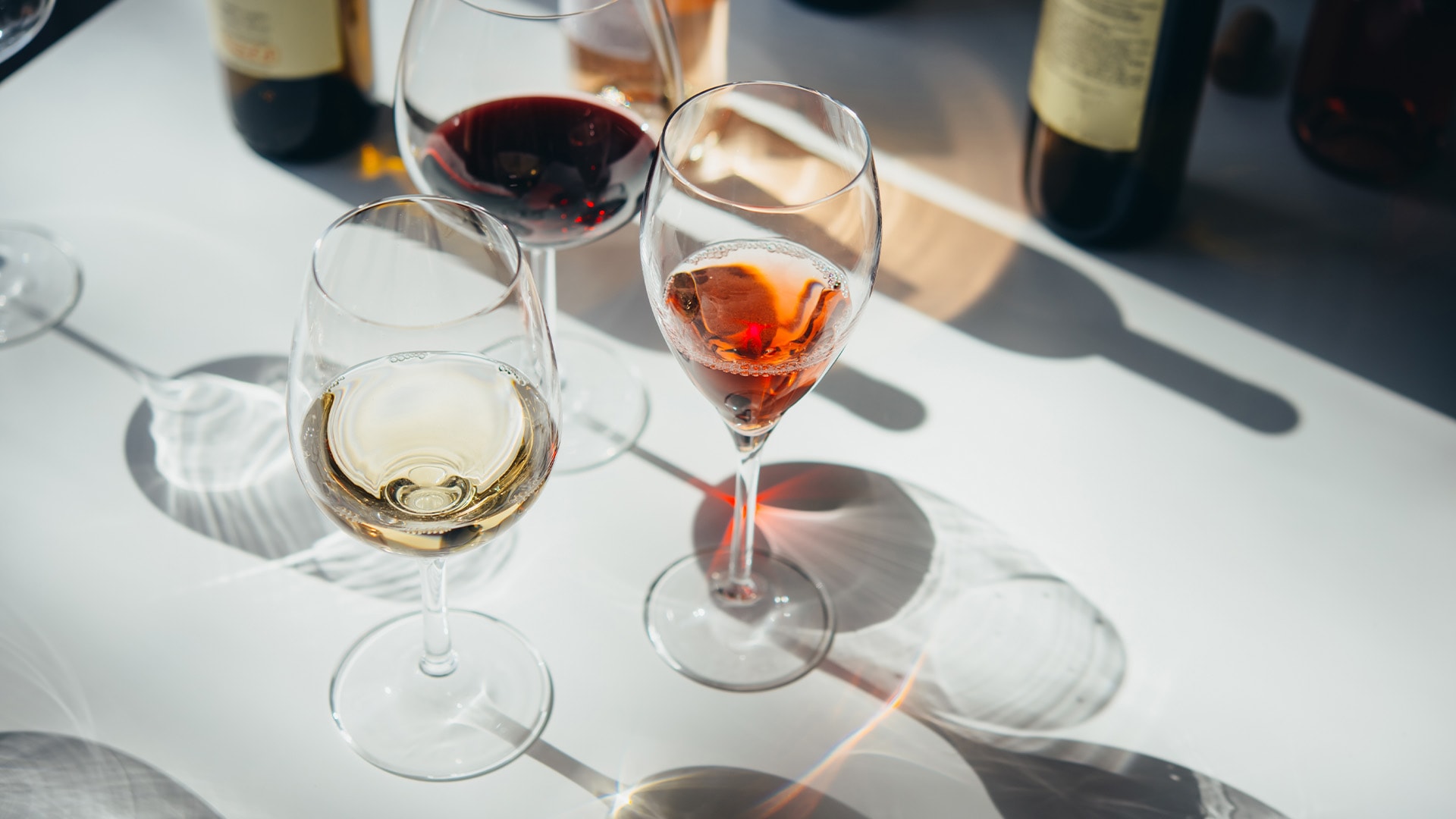 Wine tasting at Maison Boulud, a pet-friendly spot in Singapore