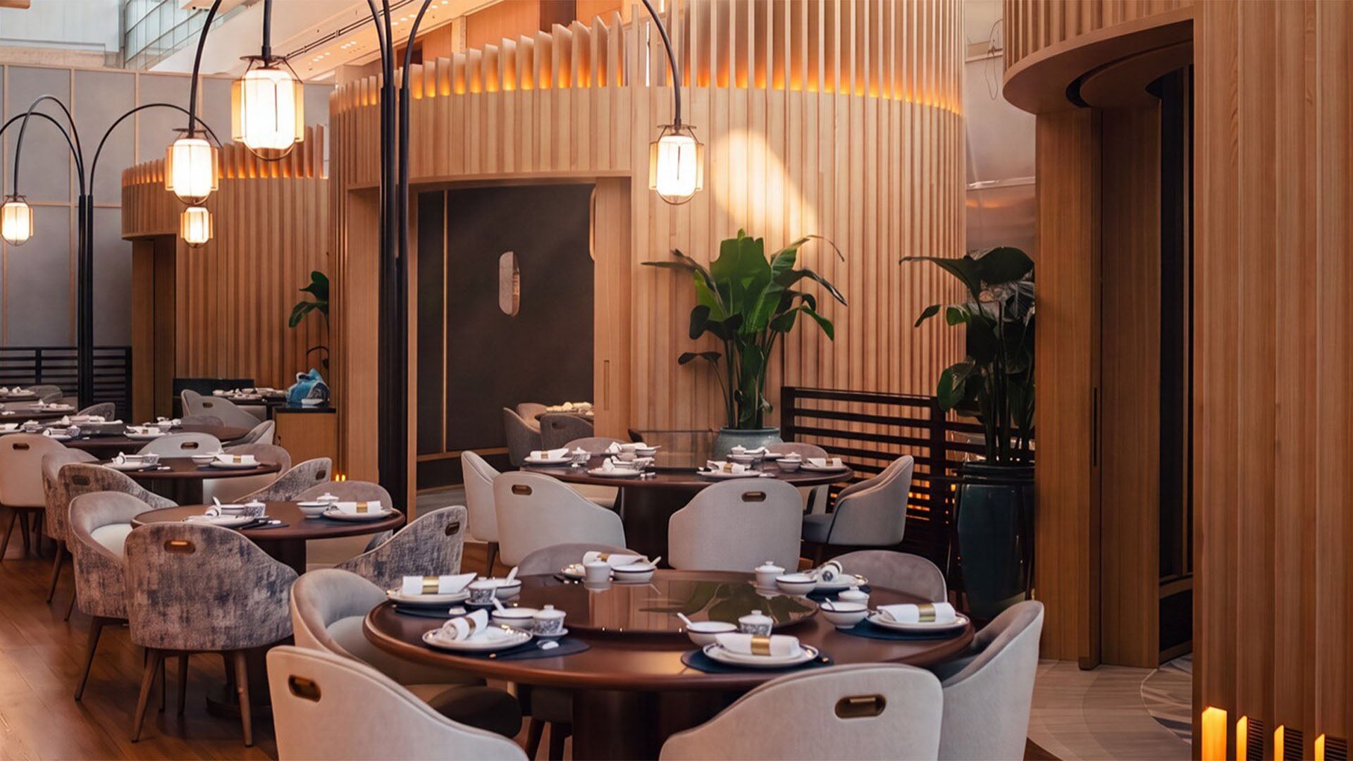 Sharing dishes at Le Ju Xuan, a perfect spot for after-work gathering with friends or colleagues