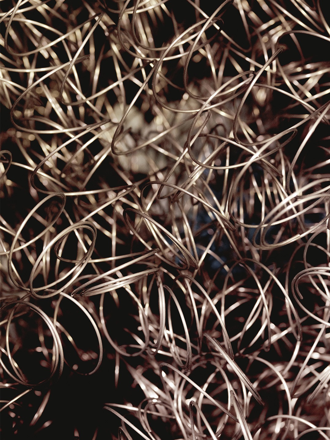 Join Us in the World's Best Bed