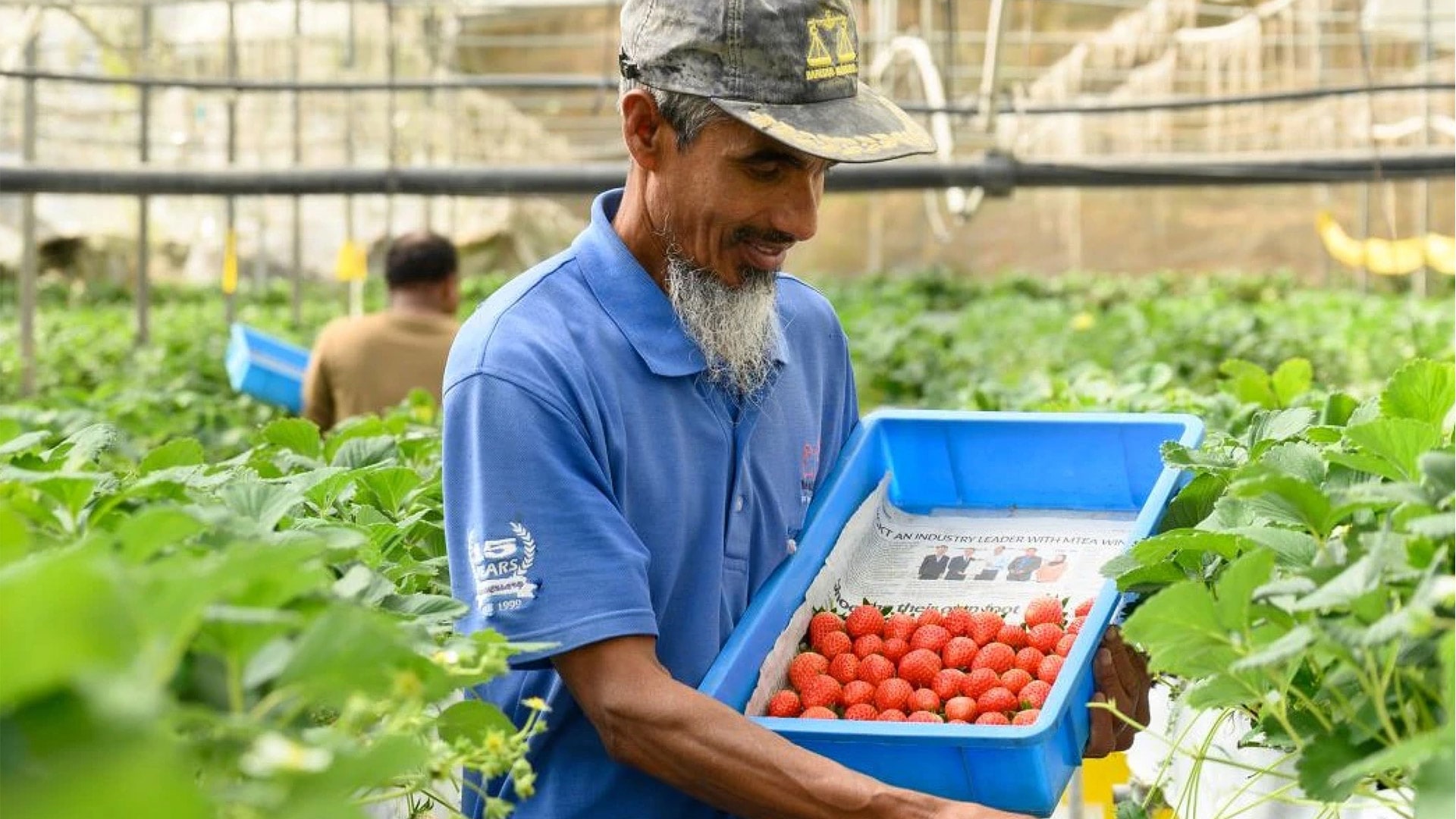 Supply Chain Management