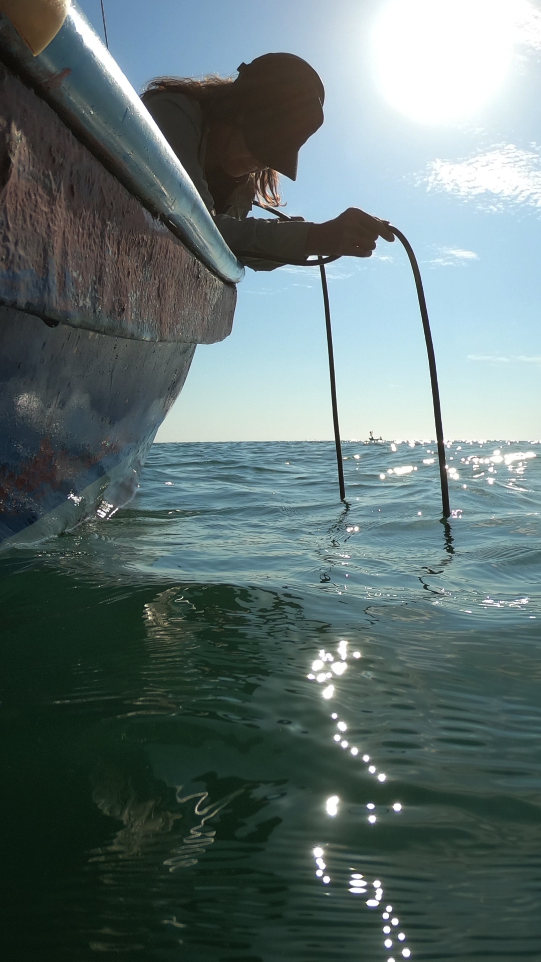 ArtScience Encounters: Rising from the Twilight: Underwater by Jana Winderen