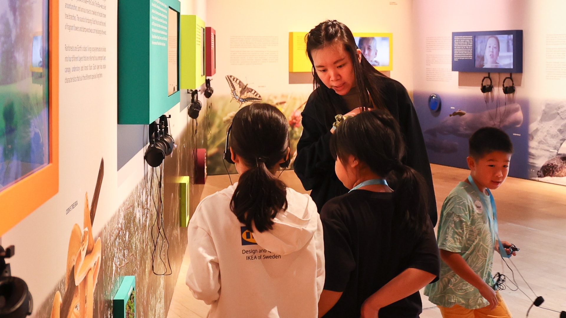 Insects Tour for Kids