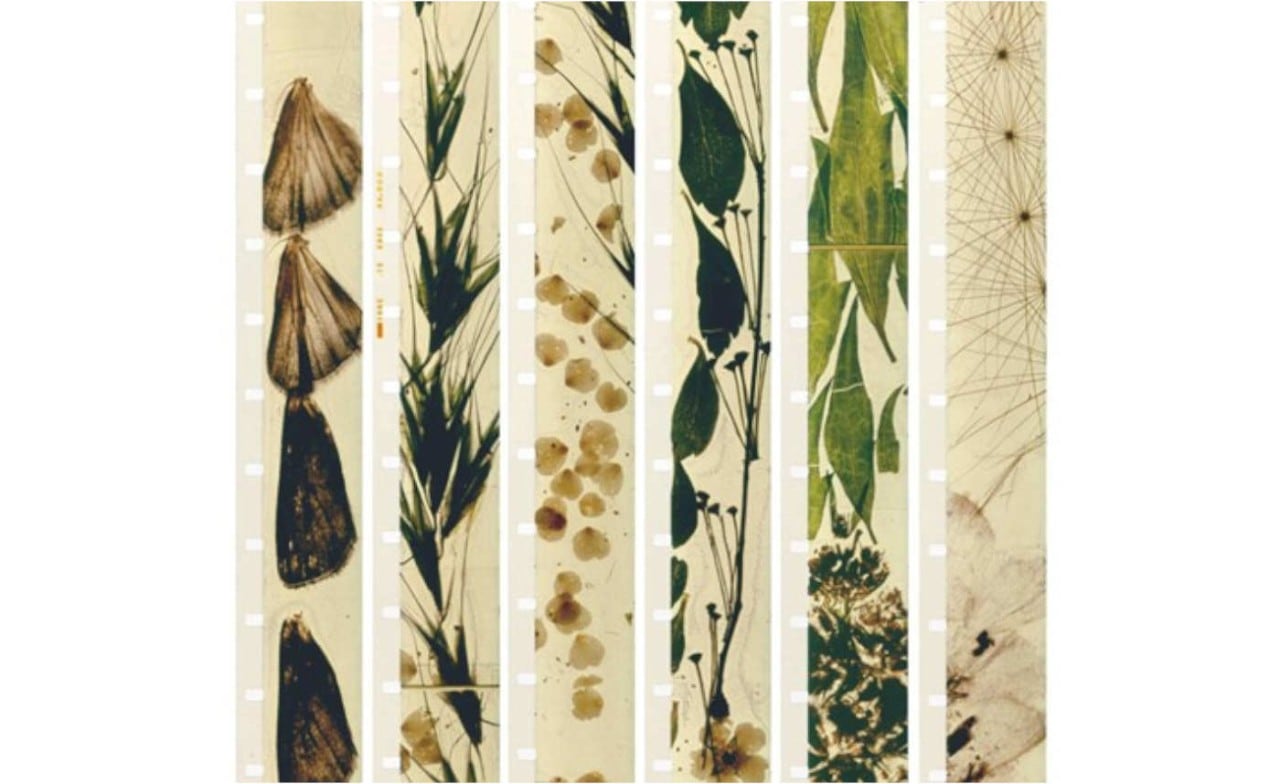 Material Experiments: From Scratch to Digital