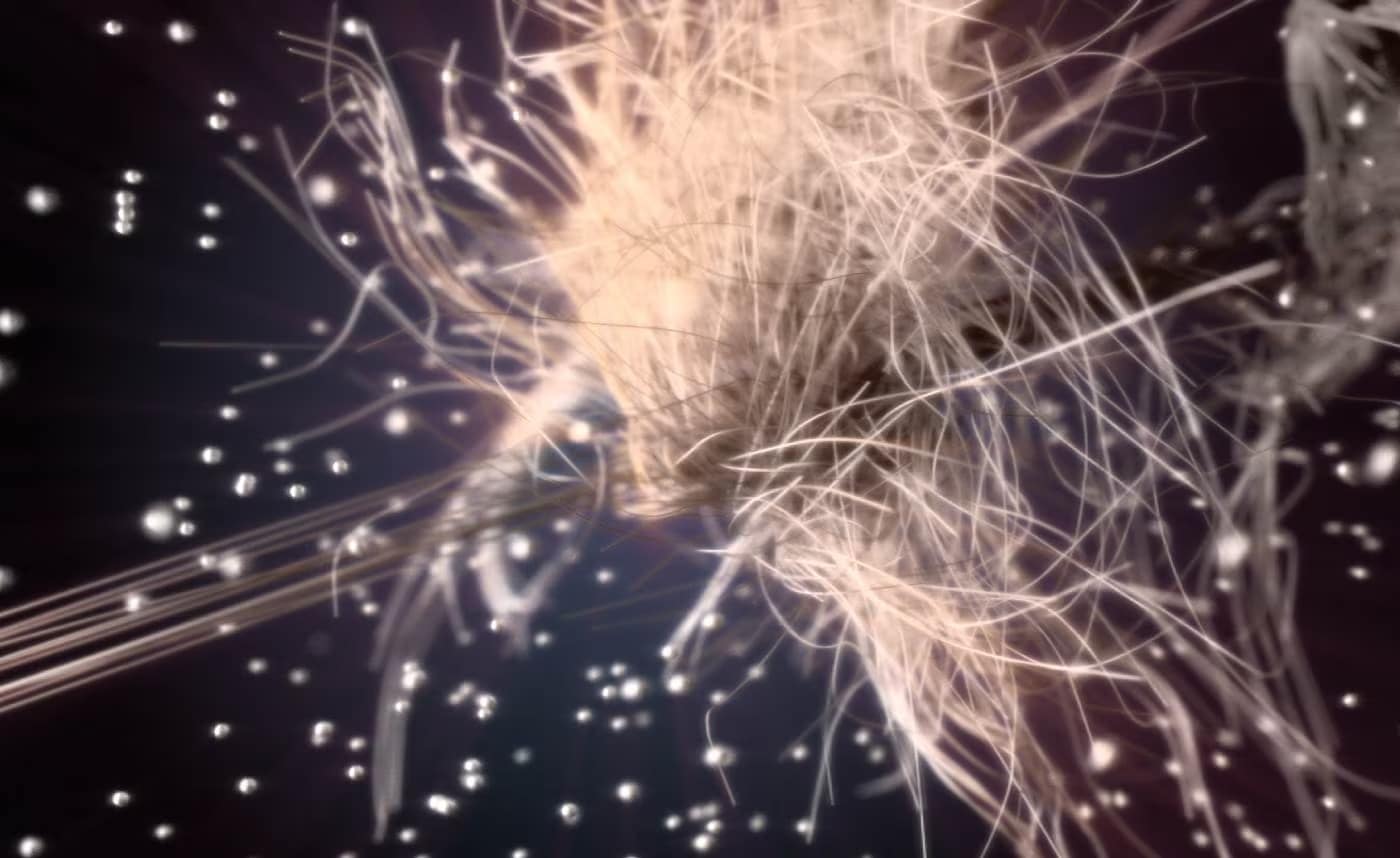 Anicka Yi: The Flavor Genome