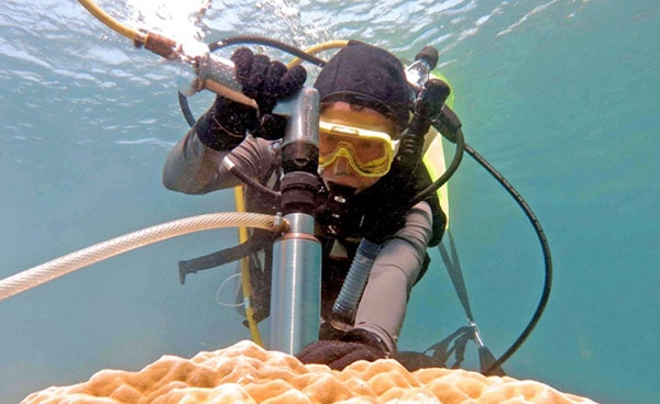 Climate Conversations with Intan Suci Nurhati