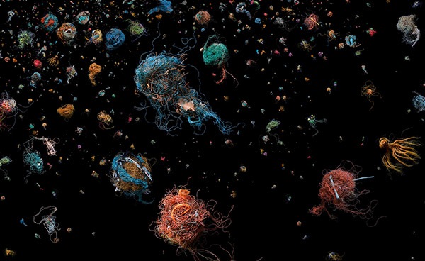 Climate Conversations with Mandy Barker