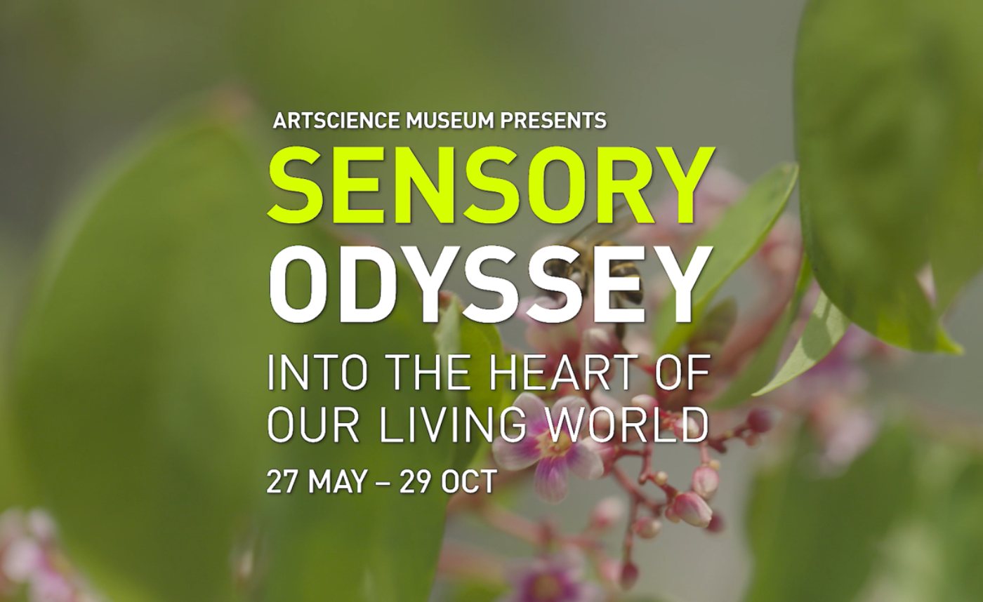 Are There Beekeepers in Singapore?