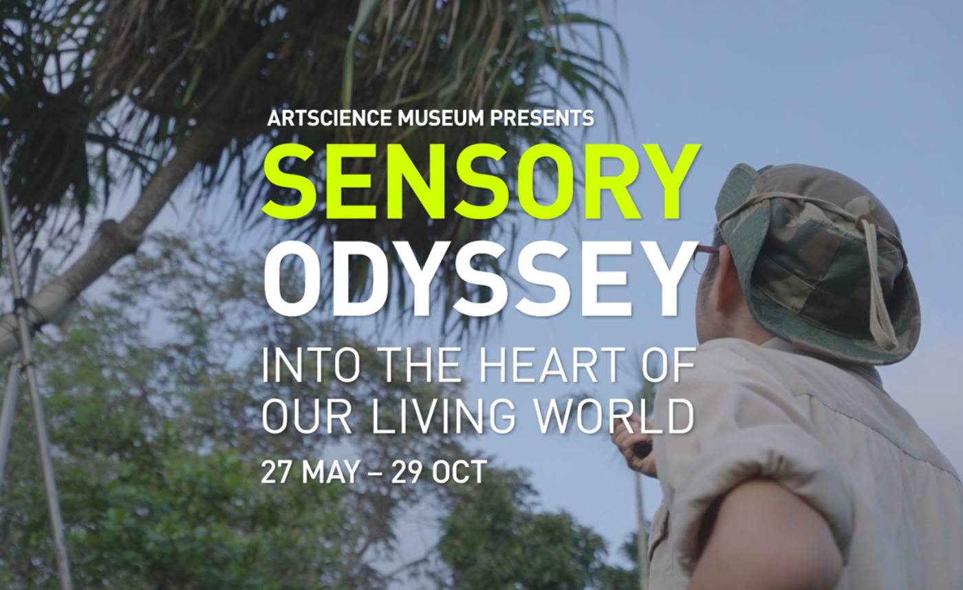 Discover the Creatures of the Night