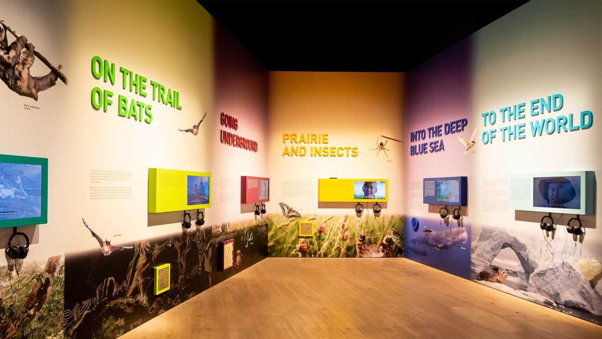 Discover: Our Nature, Our Stories