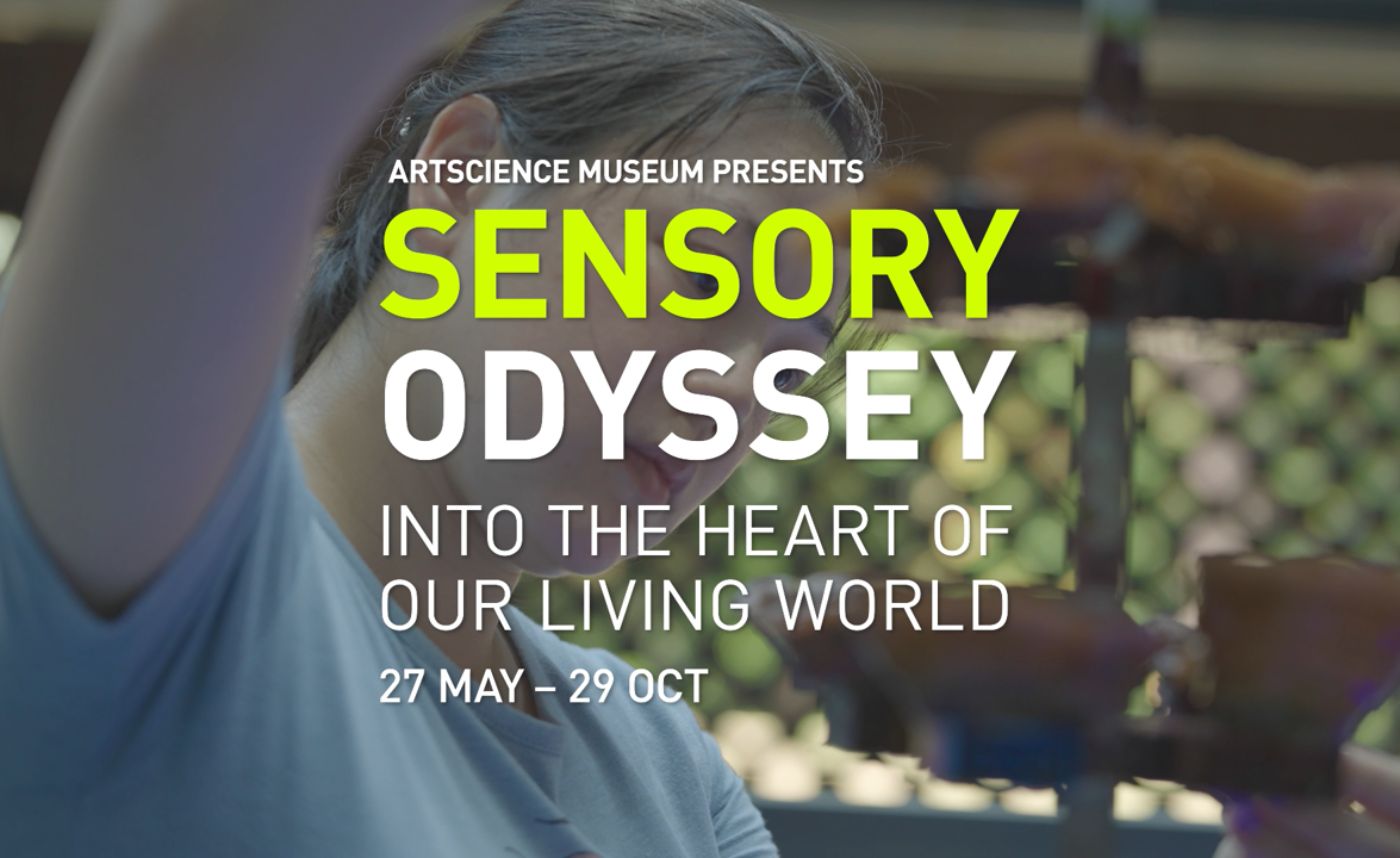 Protecting Our Oceans with the Giant Clam Girl