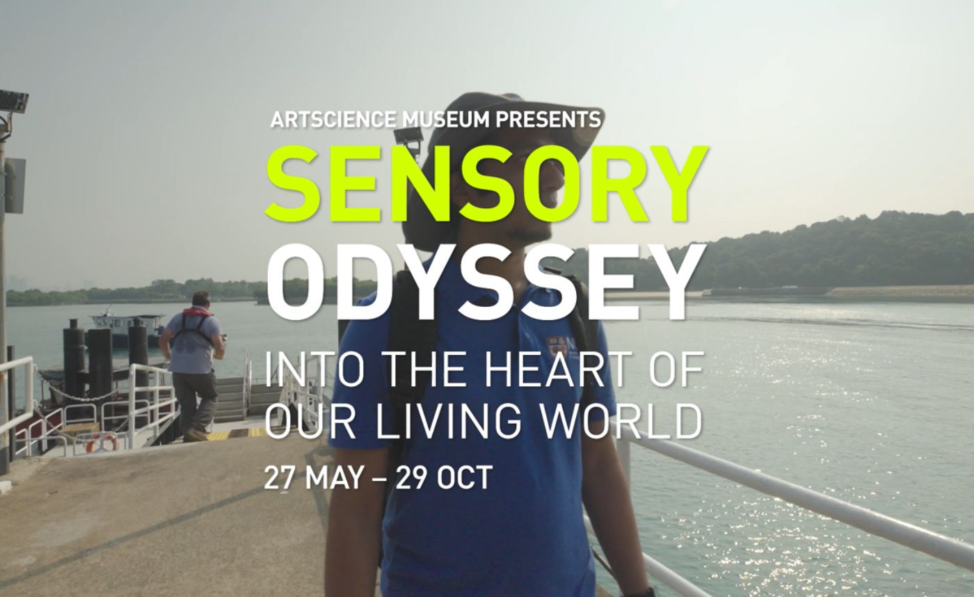 The Acoustics of Melting Glaciers