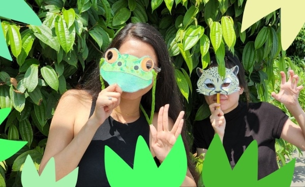 Come and Camouflage!