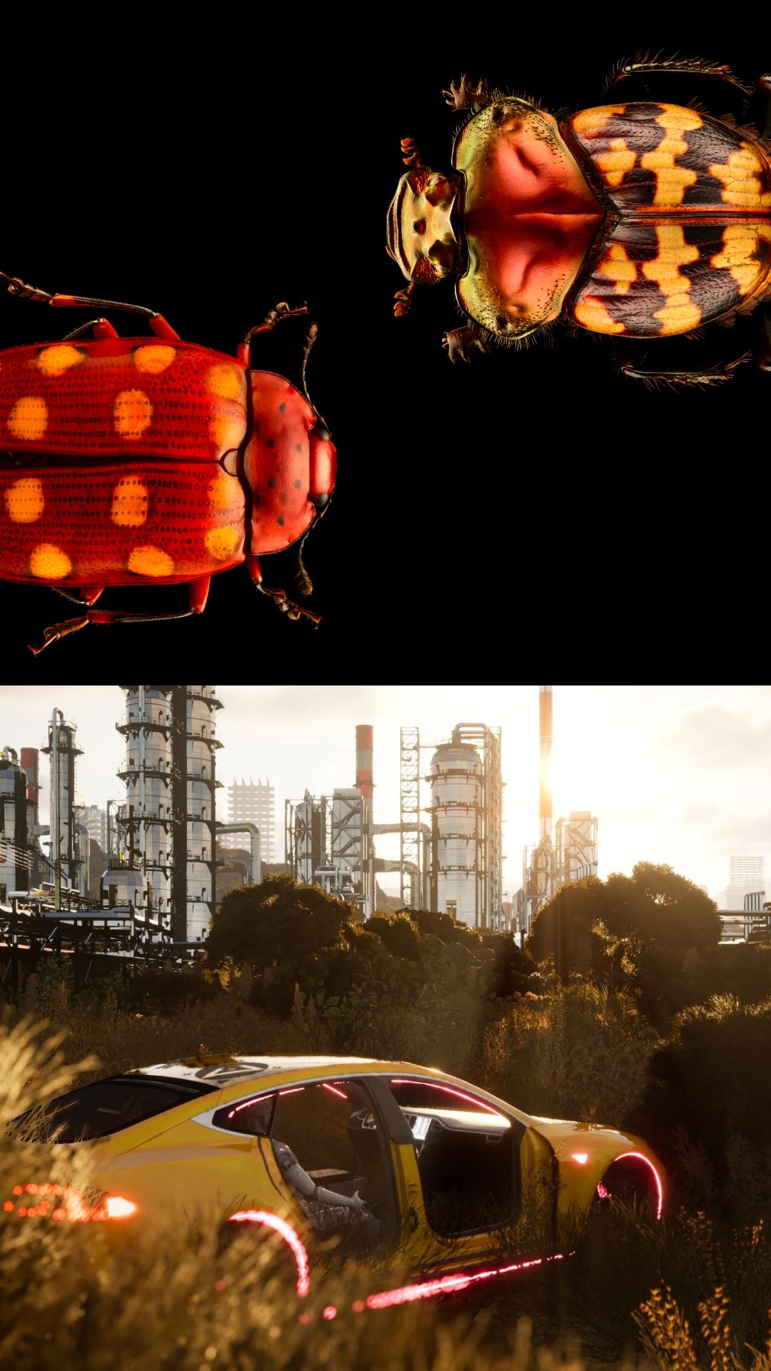 Forms of Life: Beyond the Human