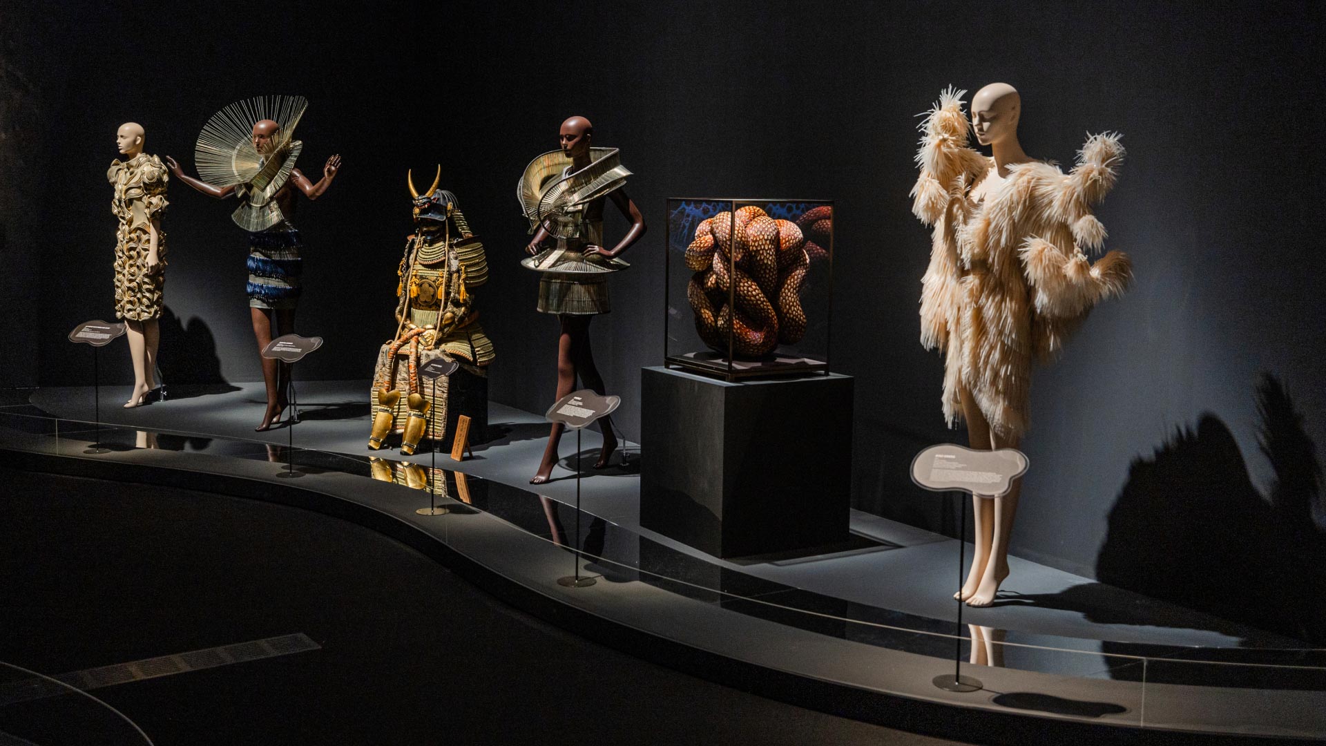 Iris van Herpen: Sculpting the Senses