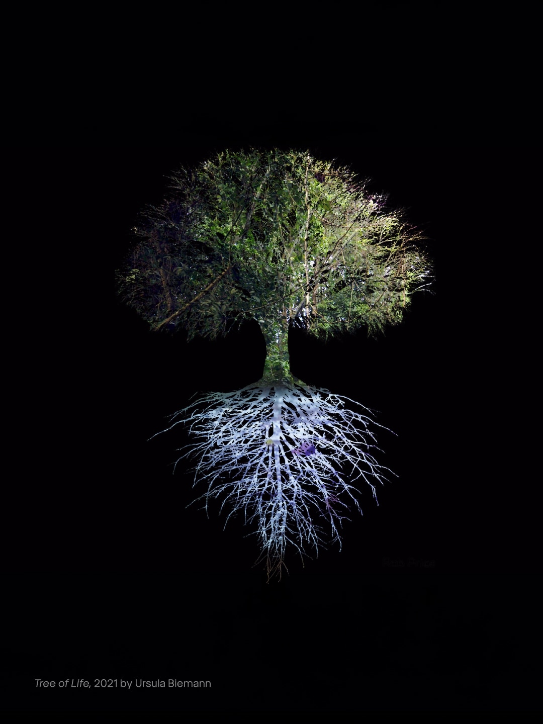 More than Human : Designing with Nature