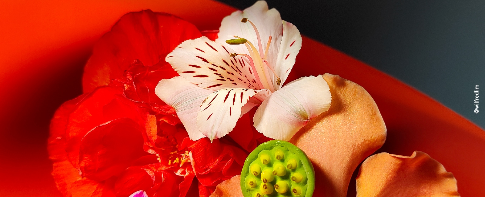 Painting with Light - Palettes of Singapore