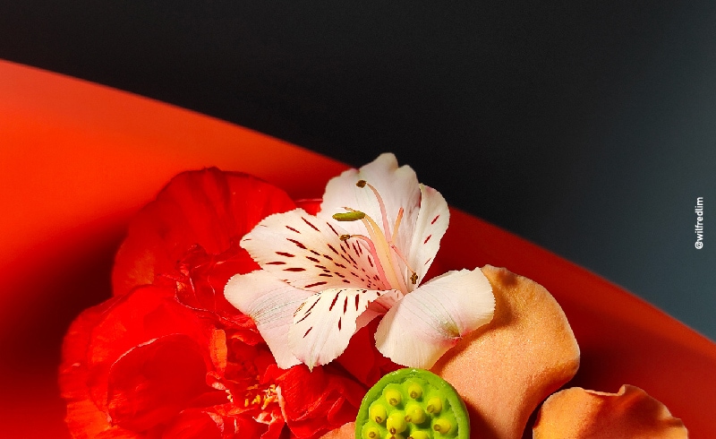 Wilfred Lim Garden City