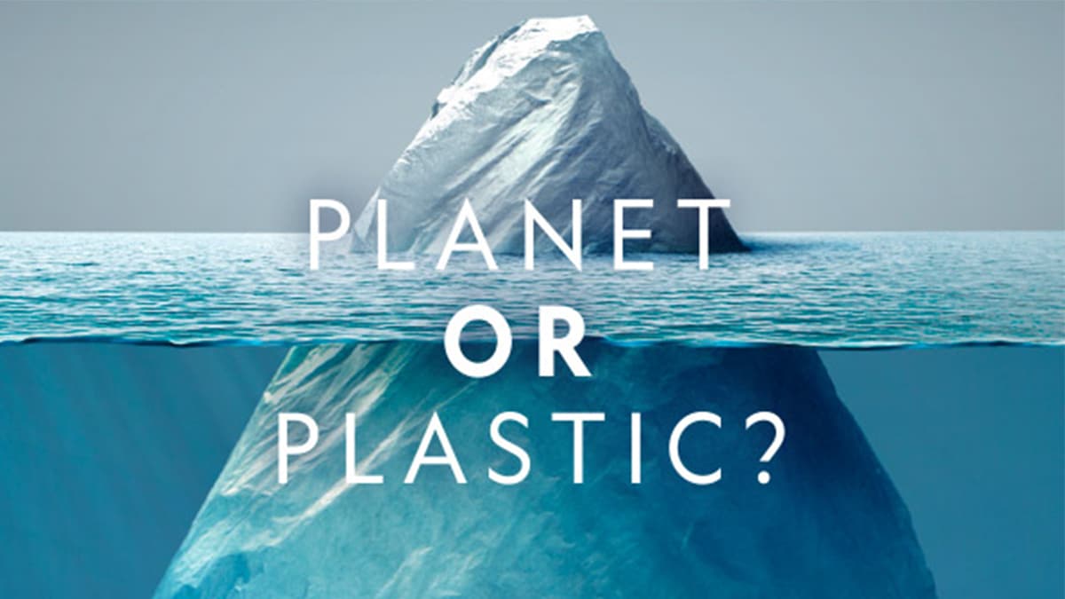 About the Exhibition