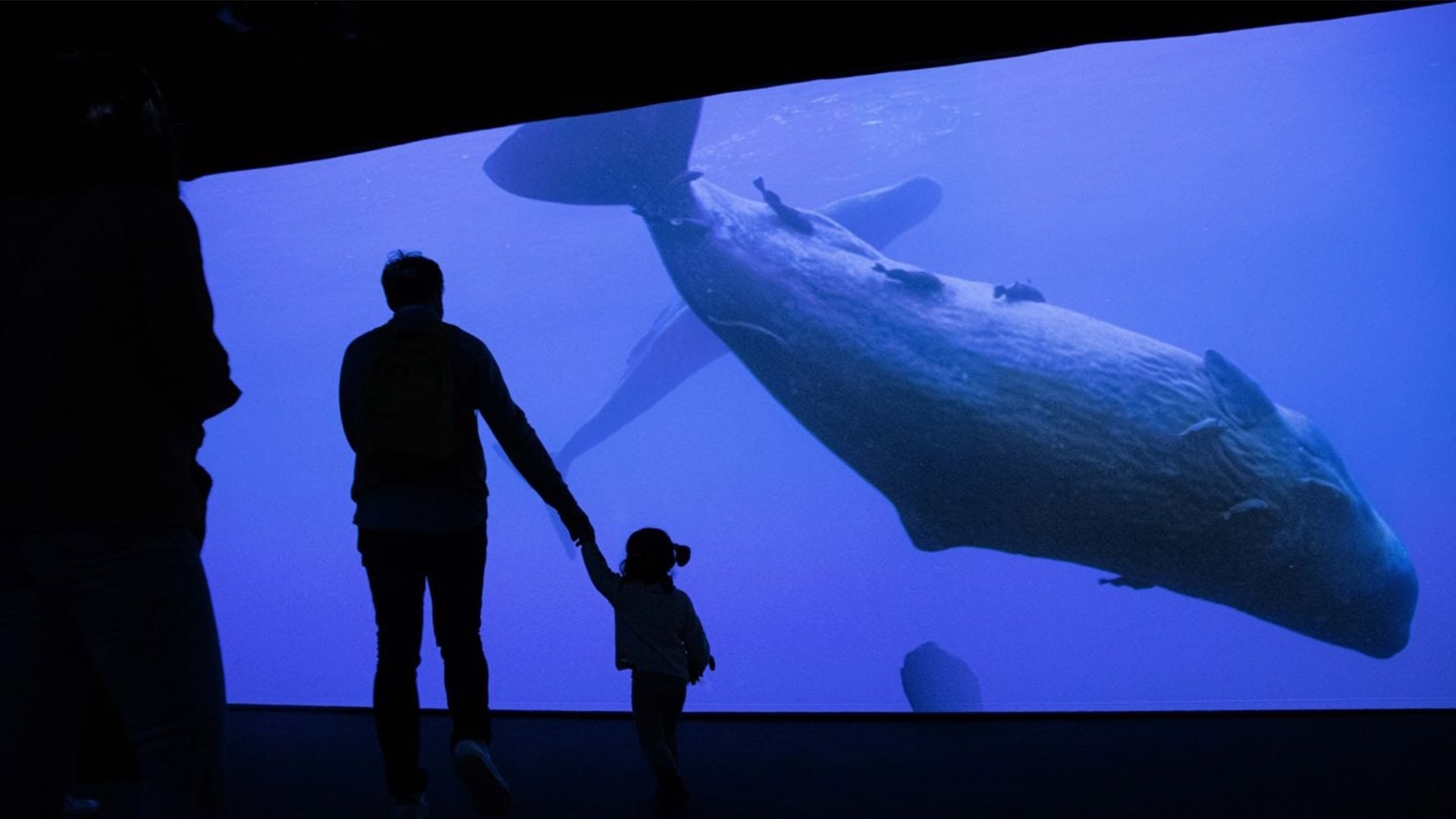 Sensory Odyssey: Into the Heart of Our Living World