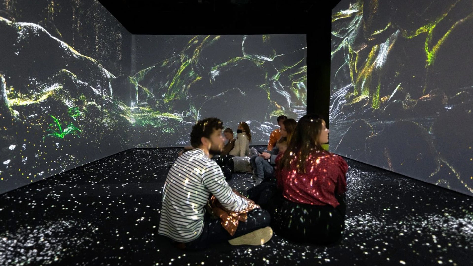 Sensory Odyssey: Into the Heart of Our Living World