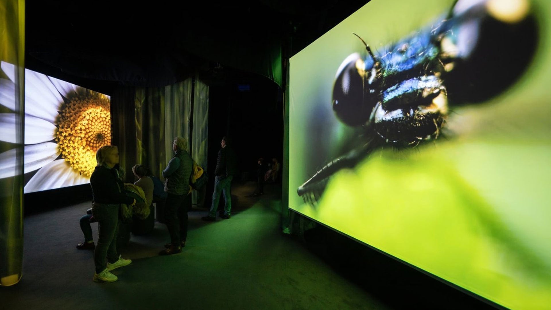 Sensory Odyssey: Into the Heart of Our Living World