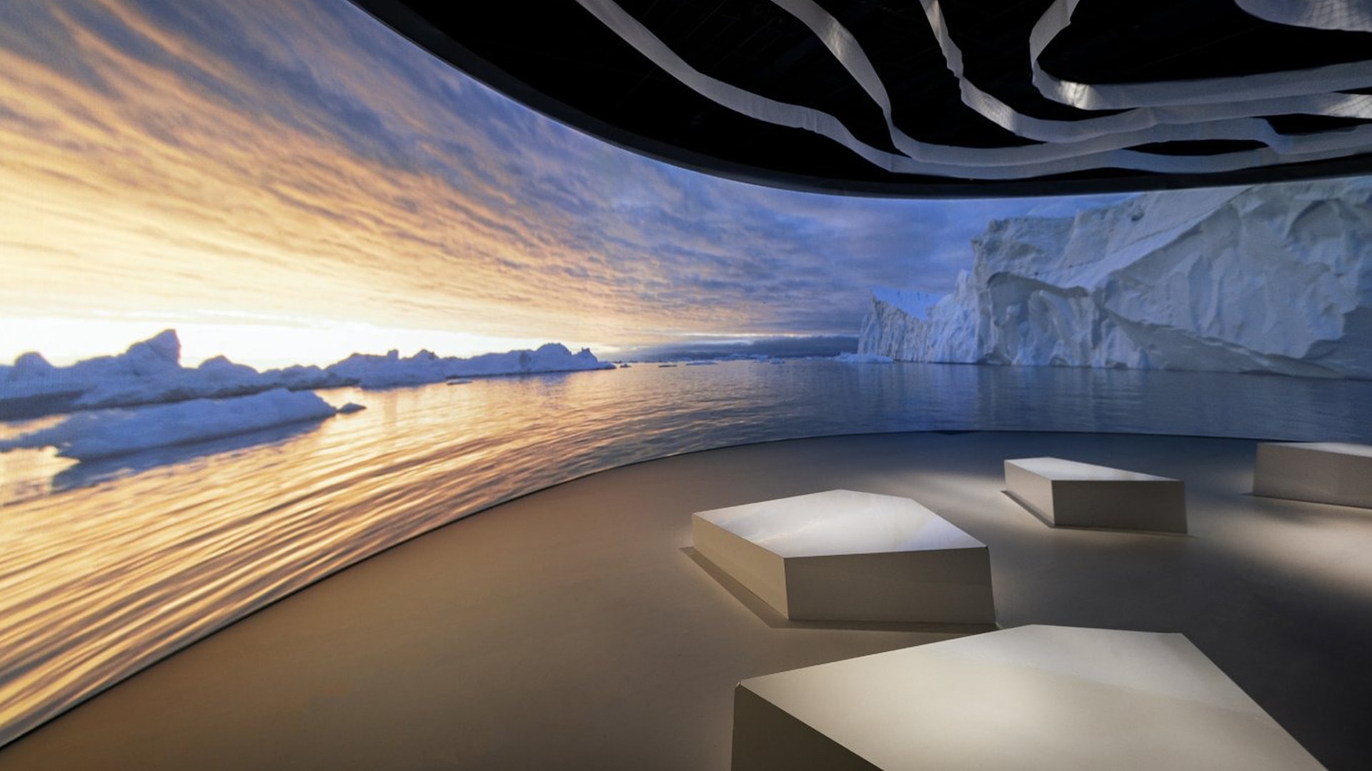 Sensory Odyssey: Into the Heart of Our Living World