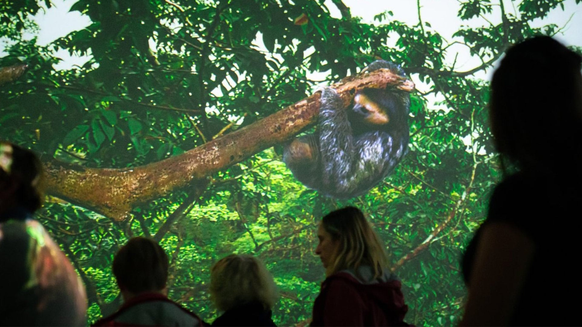 Sensory Odyssey: Into the Heart of Our Living World