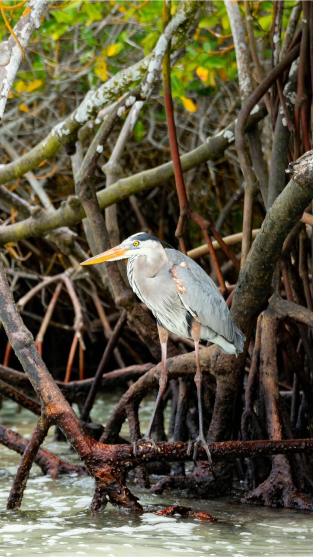 ArtScience Museum workshop - Shifting Shores, Coastal Futures, Changing Climate