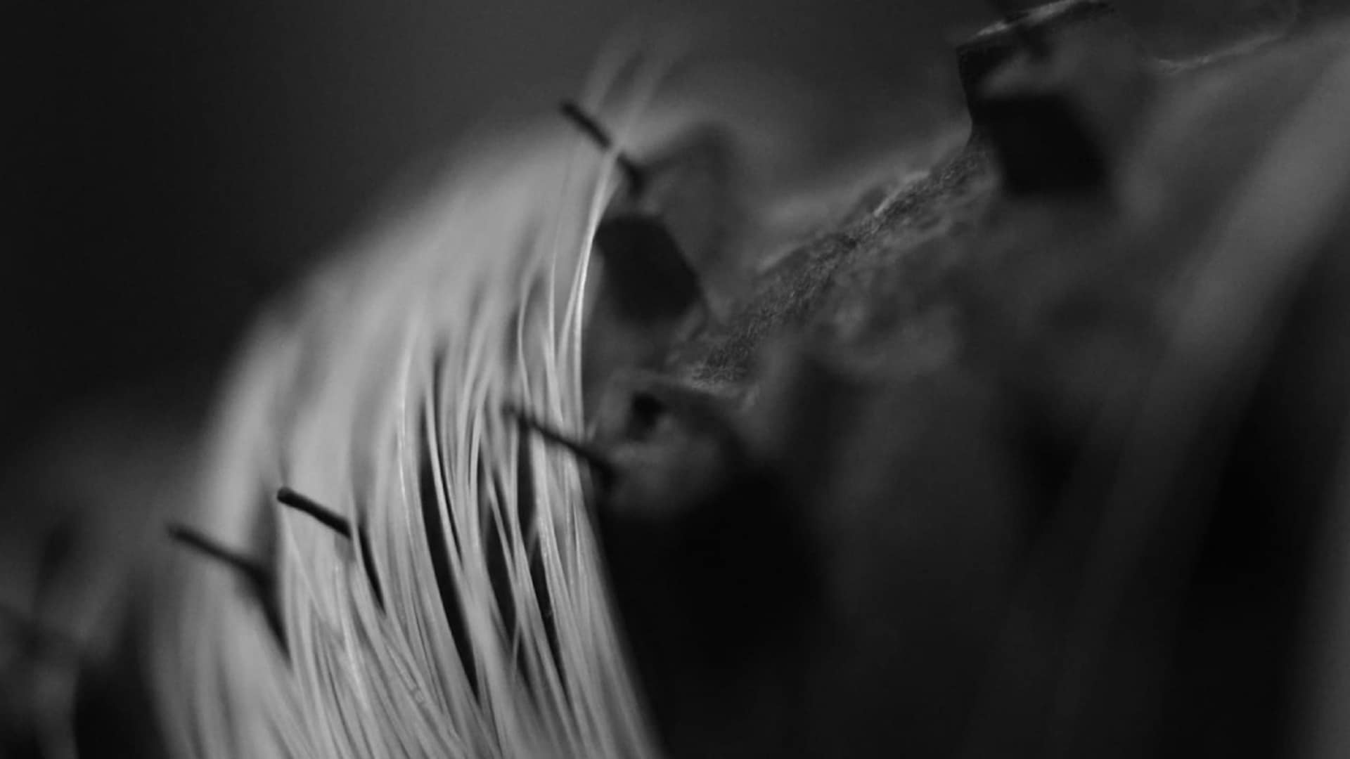 Sound Matters by NAFA School of Music