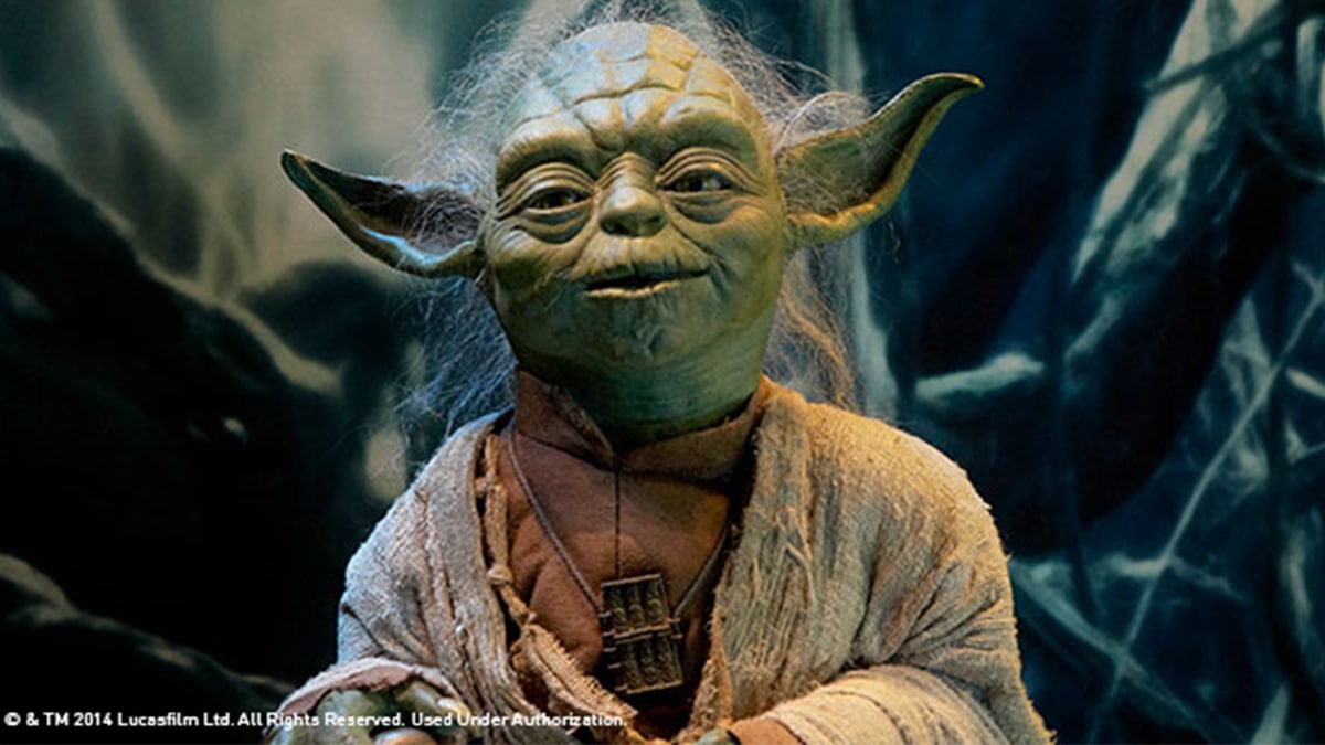 The Collection: Marquette