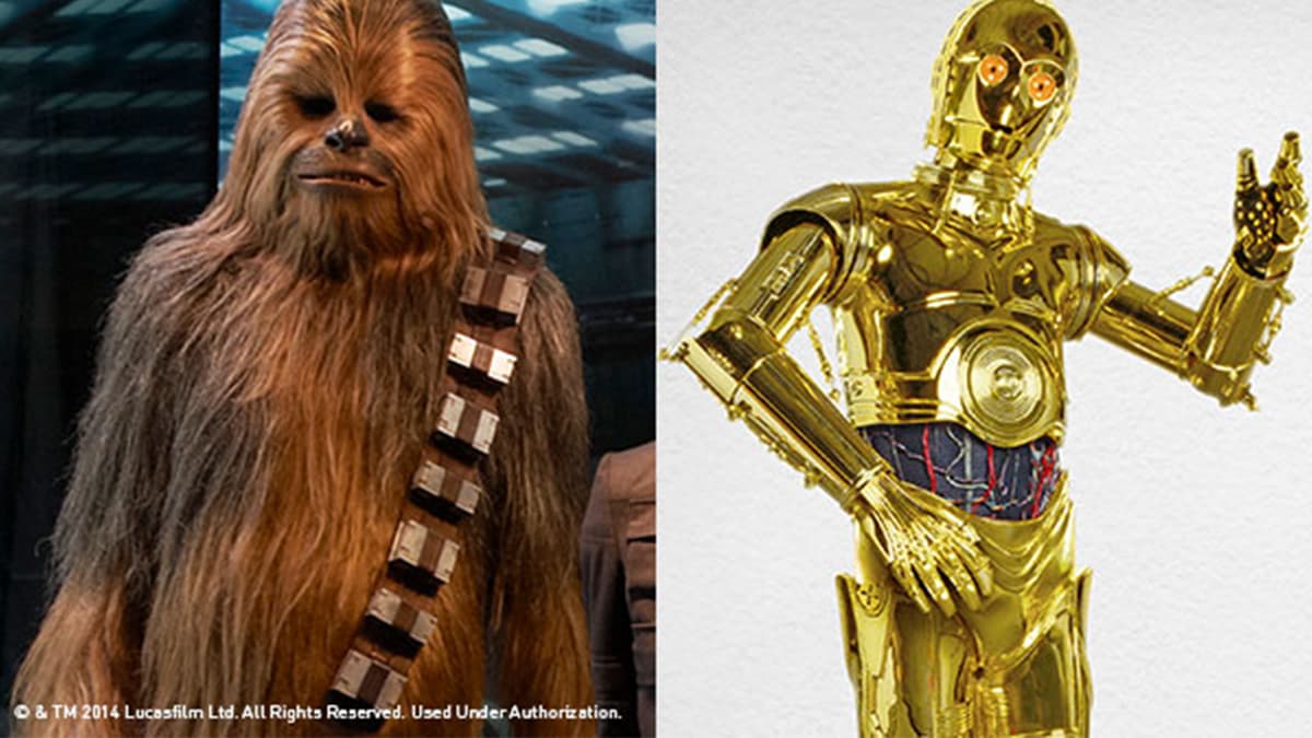 Discover Your Star Wars Character: Their Characteristics