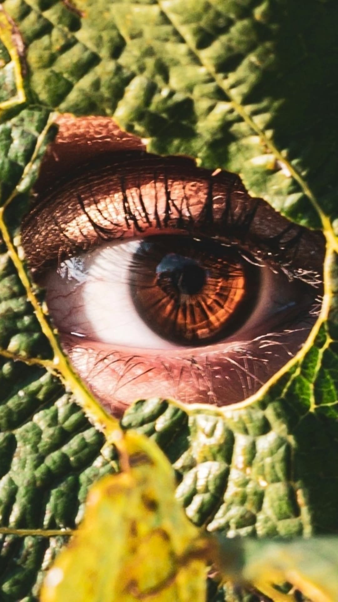 Future/Now: Youth Voices for Climate Conservation