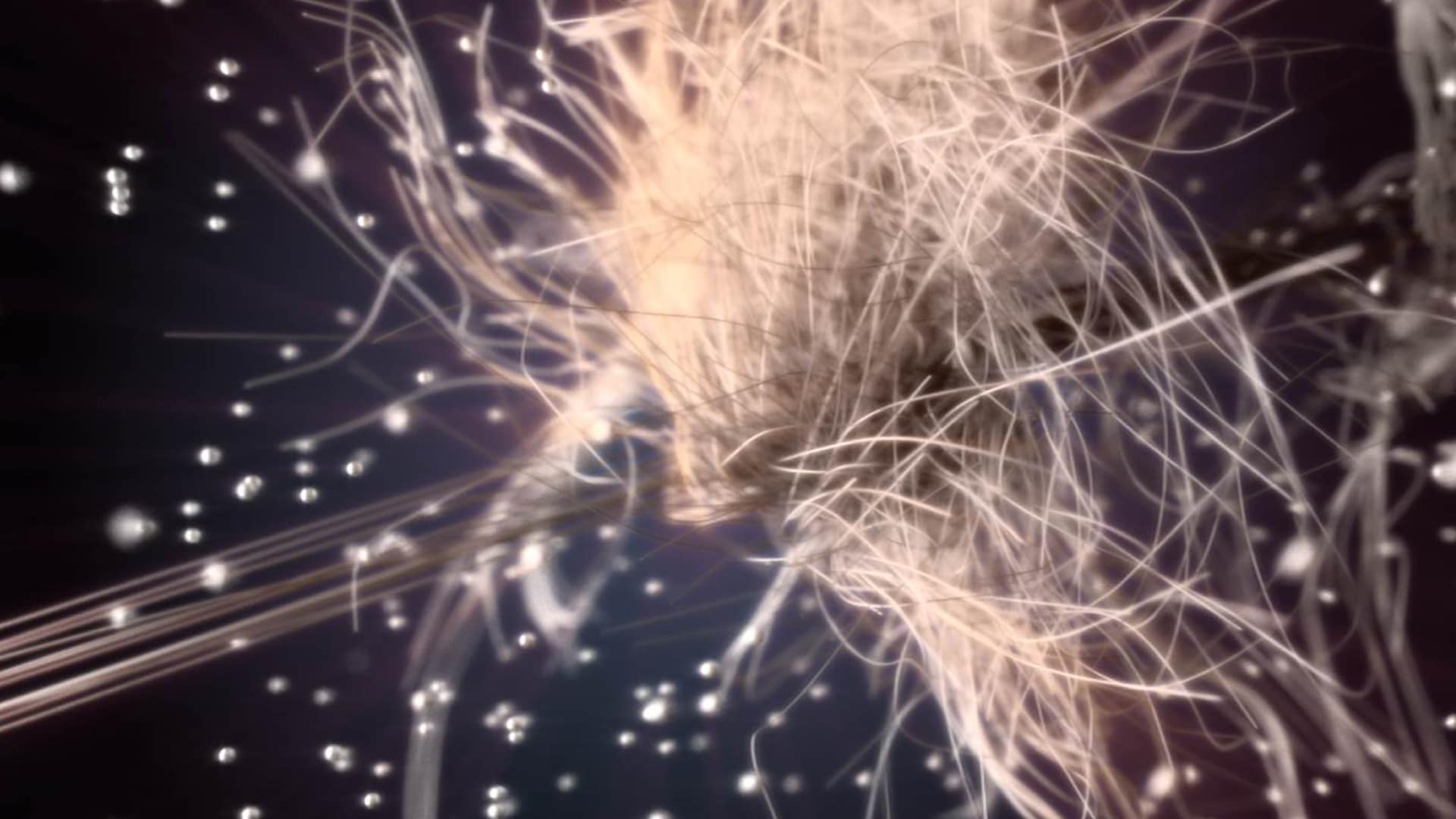 Anicka Yi: The Flavor Genome