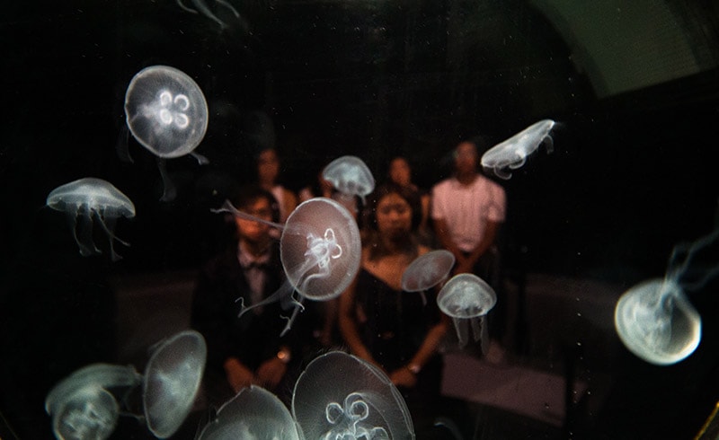 Virtual Tour: 2219 Futures Imagined