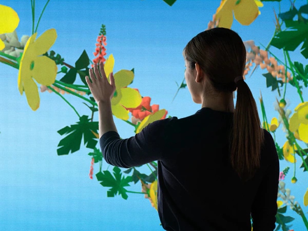 Virtual Realms: Videogames Transformed